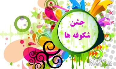جشن شکوفه ها